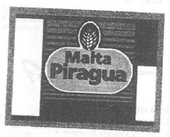 MALTA PIRAGUA