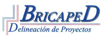 BRICAPED DELINEACION DE PROYECTOS