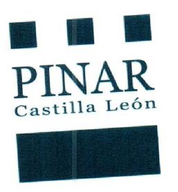 PINAR CASTILLA LEON