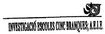INVESTIGACIO ESCOLES CINC BRANQUES, A.E.I.E