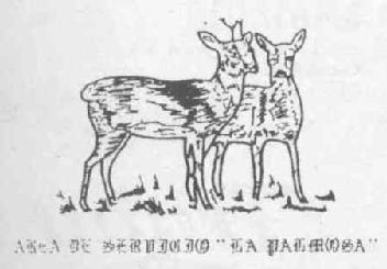 AREA DE SERVICIO LA PALMOSA