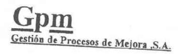 GPM GESTION DE PROCESOS DE MEJORA S.A