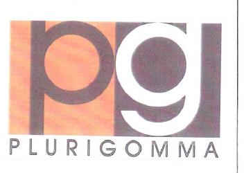 PG PLURIGOMMA