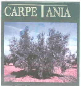 CARPETANIA