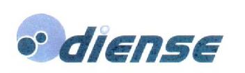 DIENSE