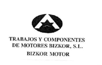 TRABAJOS Y COMPONENTES DE MOTORES BIZKOR, S.L. BIZKOR MOTOR