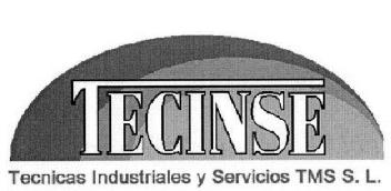 TECINSE TECNICAS INDUSTRIALES Y SERVICIOS TMS S.L