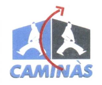 CAMINAS