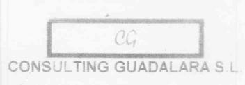 CG CONSULTING GUADALAJARA S.L