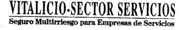 VITALICIO-SECTOR SERVICIOS SEGURO MULTIRRIESGO PARA EMPRESAS DE SERVICIOS