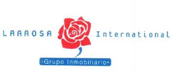LARROSA INTERNATIONAL GRUPO INMOBILIARIO