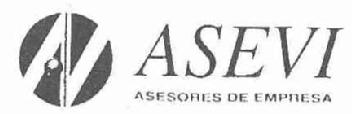AV ASEVI ASESORES DE EMPRESA
