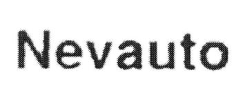 NEVAUTO