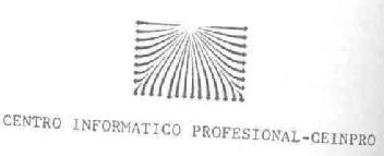 CENTRO INFORMATICO PROFESIONAL- CEINPRO