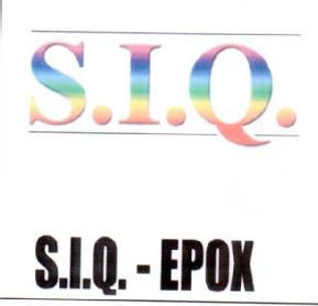 S.I.Q. S.I.Q. - EPOX