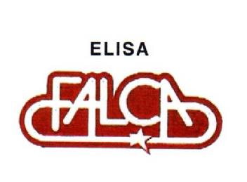 ELISA FALCA