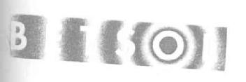 BETSOL