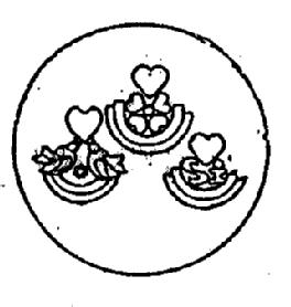 M1797717