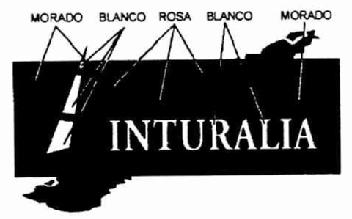 PINTURALIA