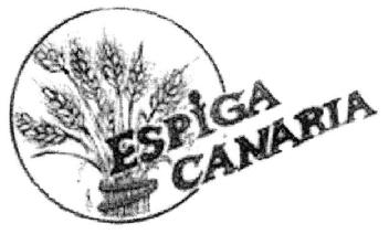 ESPIGA CANARIA