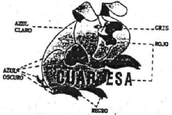 CUARTESA