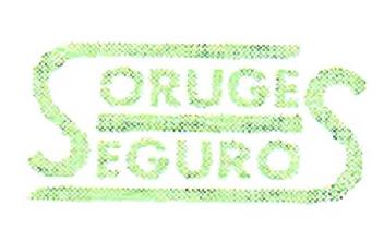 SORUGES SEGUROS