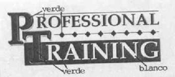PROFESSIONAL TRAINING