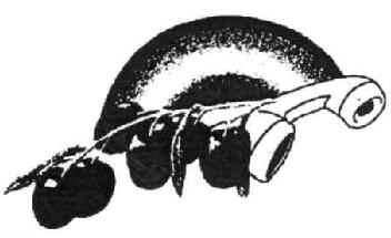 M2257097