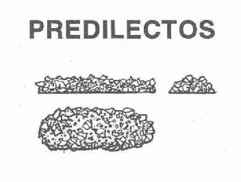 PREDILECTOS
