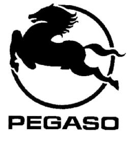 PEGASO