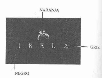 IBELA