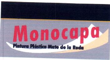 MONOCAPA PINTURA PLASTICA MATE DE LA RODA
