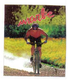 MARBE