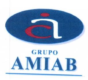 A GRUPO AMIAB