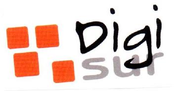 DIGISUR