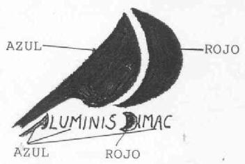ALUMINIS DIMAC