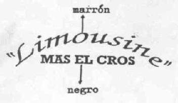 LIMOUSINE MAS EL CROS