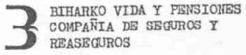 B BIHARKO VIDA Y PENSIONES COMPAÑIA DE SEGUROS Y REASEGUROS