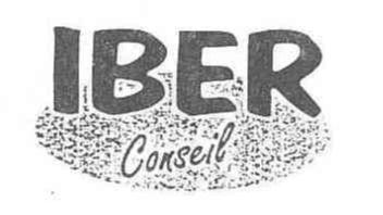 IBER CONSEIL