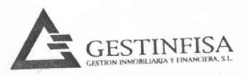 GESTINFISA GESTION INMOBILIARIA Y FINANCIERA, S.L