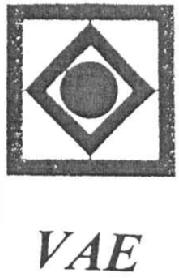 VAE