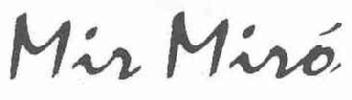 MIR MIRO