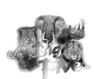 BIG FIVE