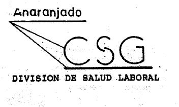 CSG DIVISION DE SALUD LABORAL