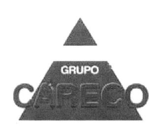 GRUPO CARECO