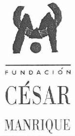 FUNDACION CESAR MANRIQUE