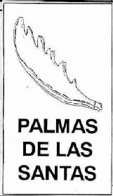 PALMAS DE LAS SANTAS