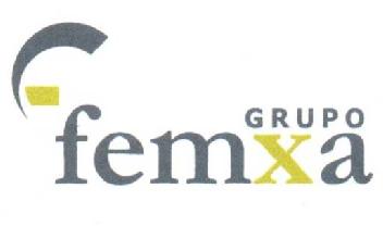 GRUPO FEMXA