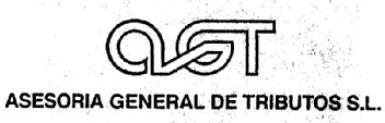 AGT ASESORIA GENERAL DE TRIBUTOS S.L