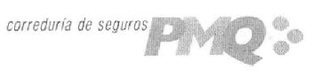 CORREDURIA DE SEGUROS PMQ